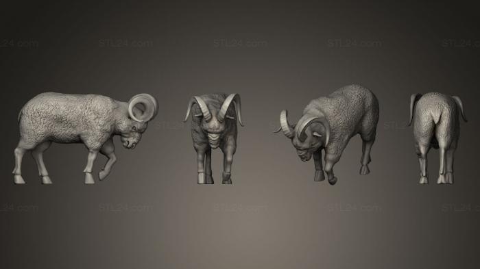 Статуэтки животных (Баран, STKJ_0217) 3D модель для ЧПУ станка